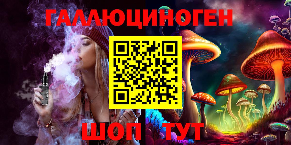 Псилоцибиновые грибы Psilocybe Домодедово