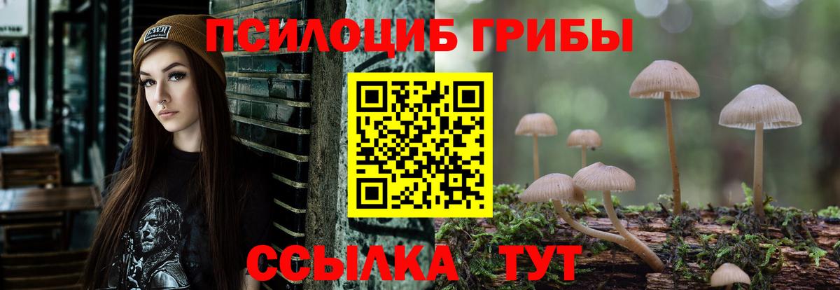 Псилоцибиновые грибы Cubensis  Псилоцибиновые грибы Cubensis  Вход с VPN  Домодедово 